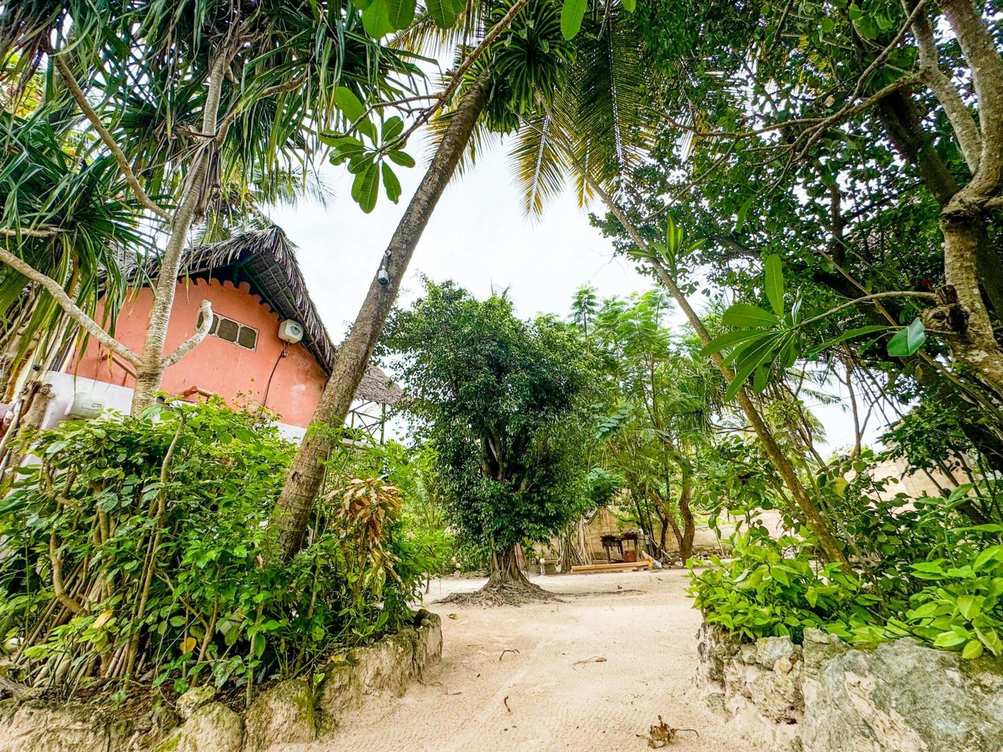 Sagando Bungalows Zanzibar Michamvi Dış mekan fotoğraf